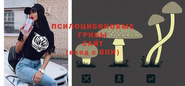 сатива Белоозёрский