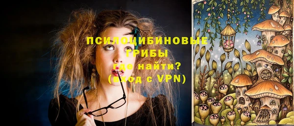 сатива Белоозёрский
