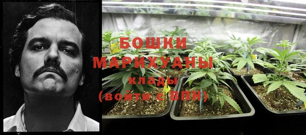 твердый Белокуриха