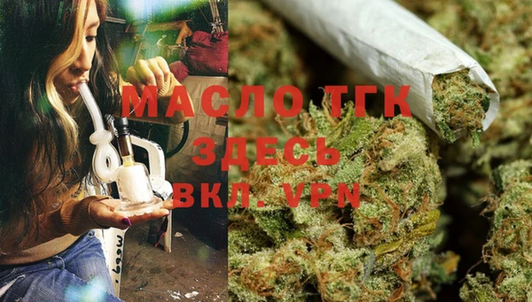 сатива Белоозёрский