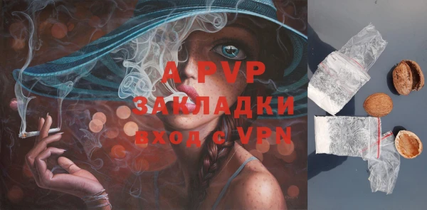 сатива Белоозёрский