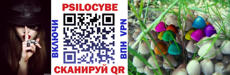 blacksprut   Коммунар  Псилоцибиновые грибы Psilocybine cubensis 